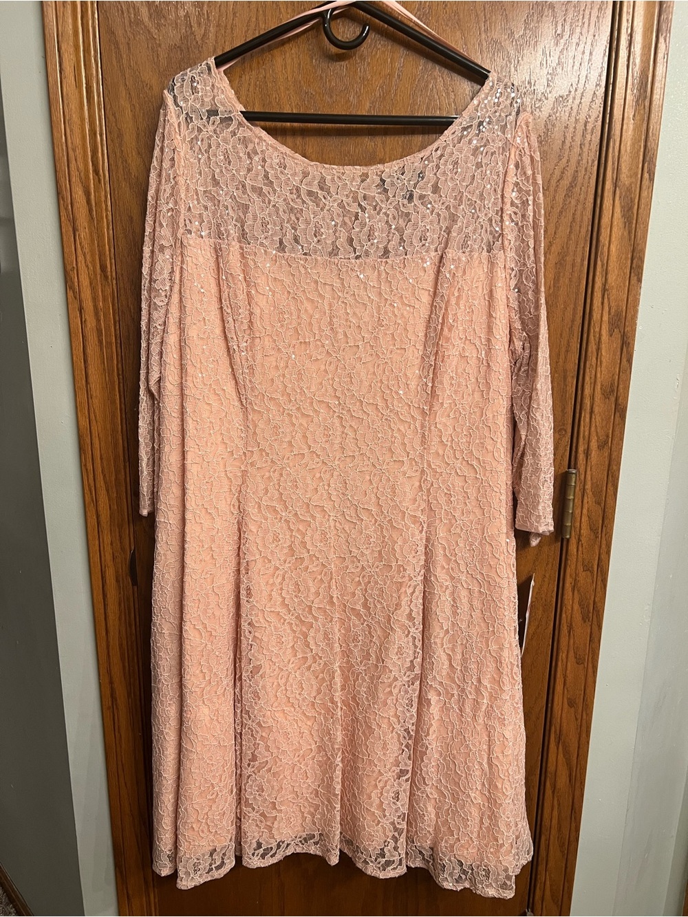SLNY Blush Lace Midi Dress with Sheer